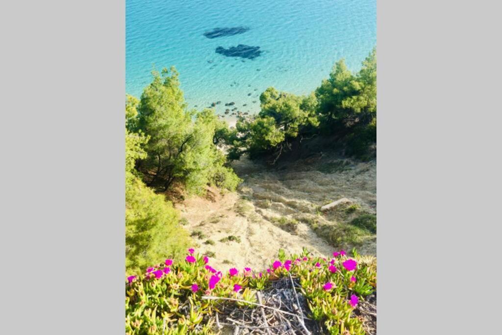Family Apartment In Greece Kalandra Esterno foto
